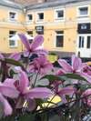 Отели типа «постель и завтрак» Sodu Rooms Вильнюс-0